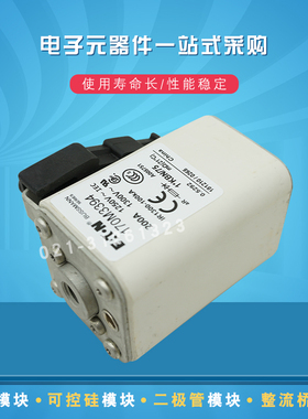 巴斯曼快速熔断器170M4317 4318 4319 4320 4321 4322 4323 4324