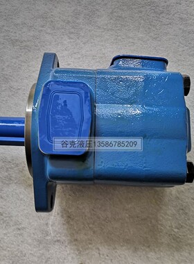 极速新款叶片泵 油泵 25V21A高压 35V 45V50 注塑机鞋机 油压机液