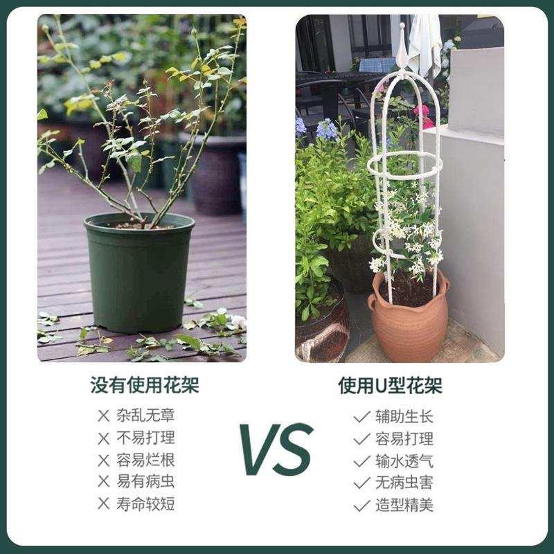 山乌龟飘香藤绿萝龟甲龙蔷薇山乌龟牵牛花球兰花架爬藤支架室内外