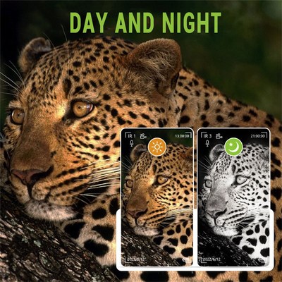 Professional 1080P Rechargeable Binoculars Telescope 15X 600