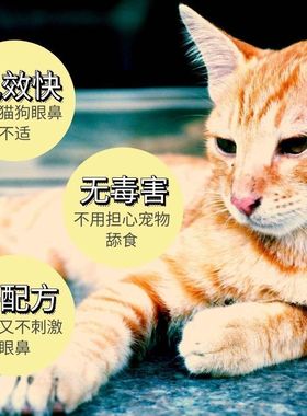 猫鼻支宠物眼用滴剂妥布霉素滴眼液典必殊托百士代