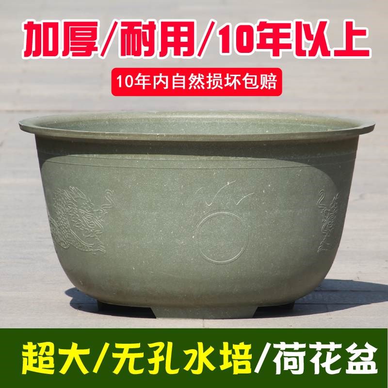 水培花盆无孔大号龙缸盆特大号睡莲碗莲荷花专用塑料盆特价包邮