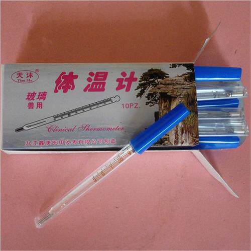 极速兽用体温表温度计体温计玻璃体温计水银体温表43度猪肛表体温