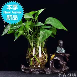 绿萝水培容器玻璃透明花瓶创意定制桌面装 饰小摆件插花铜钱草