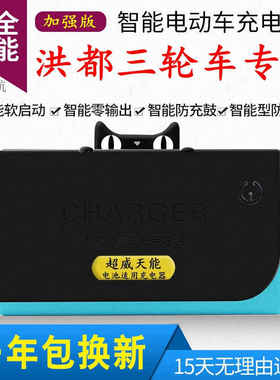 极速电动车电瓶充电器48V20AH60V32A72V50A84V96V洪都三轮车原装