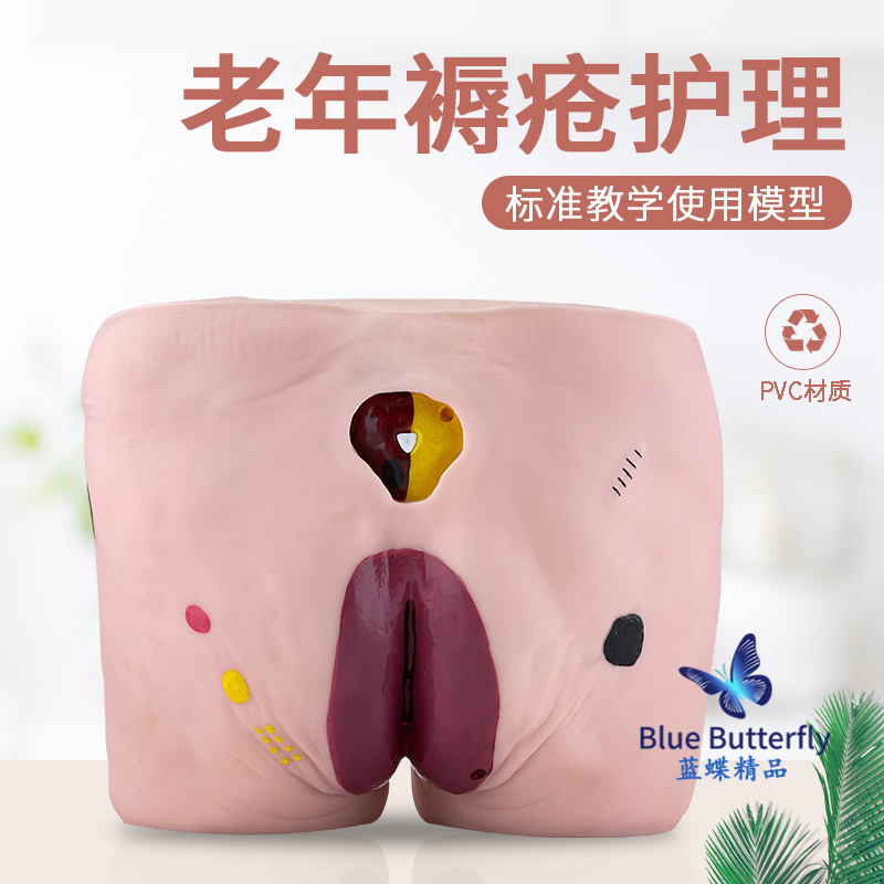 蓝蝶高级老年人压疮褥疮模型教具