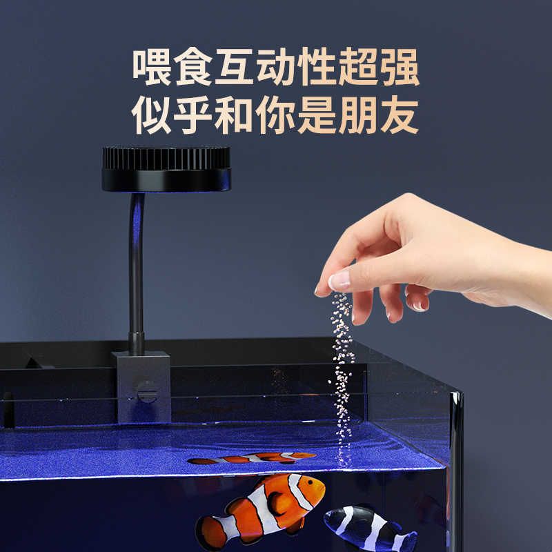小丑鱼专用海缸全套小型客厅鱼缸背滤一体桌面超白玻璃迷你海水缸