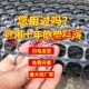加厚塑料网围栏土工格栅养殖护栏网栅栏菜园隔离网拦鸡网漏粪脚垫