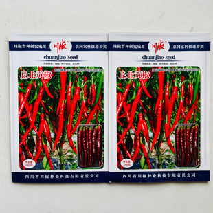 丘北贡椒辣椒种子早熟果面光滑顺直高产抗病大田红尖椒味香辣正品
