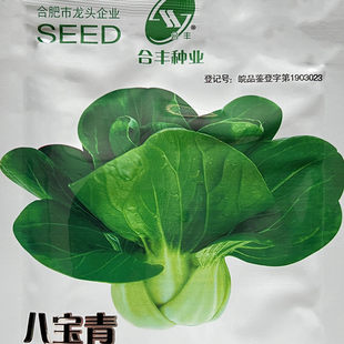 八宝青油菜籽种子苏州青菜种籽抗病耐热耐寒春秋季播优质蔬菜种孑
