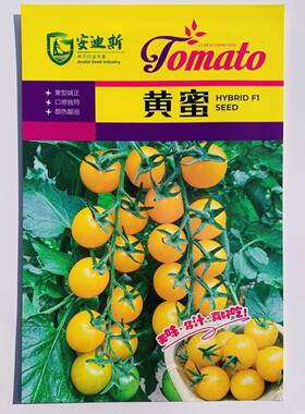 安迪斯黄蜜小番茄种子无限生长型早熟口感好黄色樱桃水果番茄种籽