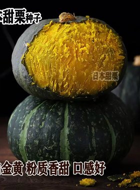 太谷甜栗南瓜种子 谢花面窝瓜绿板栗味黑贝贝早熟蔬菜瓜果种籽