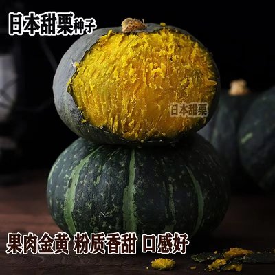 太谷甜栗南瓜种子谢花面