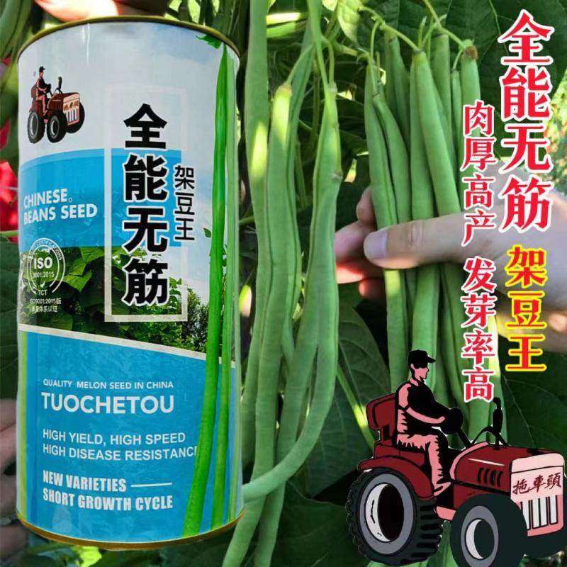 全能无筋架豆种子 抗病高产 长芸豆菜豆青豆高产春季秋四季豆种孑,农用物资,蔬菜种子/种苗,淘宝优惠券,粉丝福利购,淘宝优惠卷