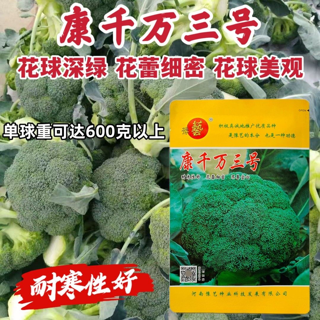 豫艺康千万三号青花菜种子花色浓绿花蕾细密不易空心青梗花菜种籽,农用物资,蔬菜种子/种苗,淘宝优惠券,粉丝福利购,淘宝优惠卷