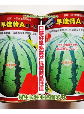 园翼 早佳特A8424 西瓜种子 口感好早熟高产抗病商品性 春季播种