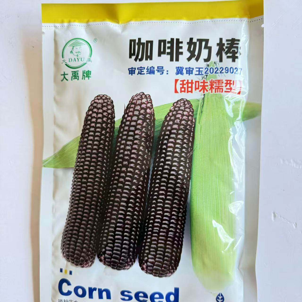 大禹咖啡奶棒玉米种子大苞米甜糯黑糯米转基因四季早熟糯玉米高产