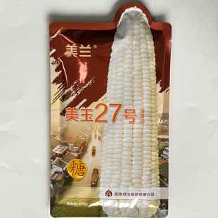 美玉27号白甜糯玉米种子高产抗病大棒加糖甜玉米种籽白甜糯玉米种