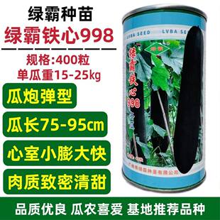 绿霸铁心998冬瓜种子黑皮大冬瓜种子炮弹型特大铁心冬瓜种籽