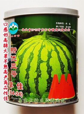 新疆天山早佳8424西瓜种子口感好高糖大果早熟高产商品性佳冬春播