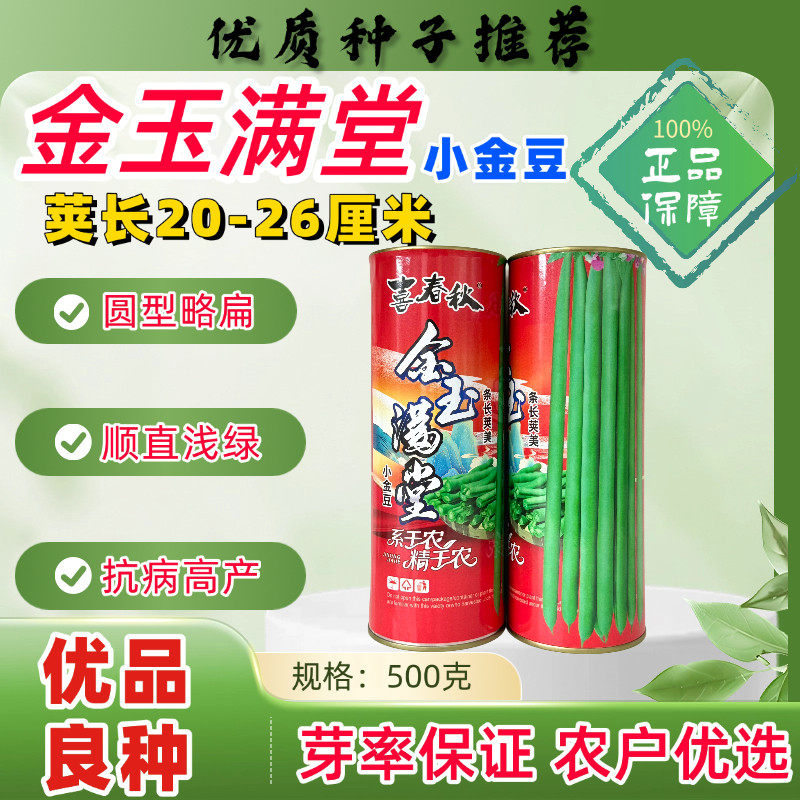 金玉满堂架豆种子小金豆种籽青豌豆种籽四季豆蔬菜孑农用豆角籽种
