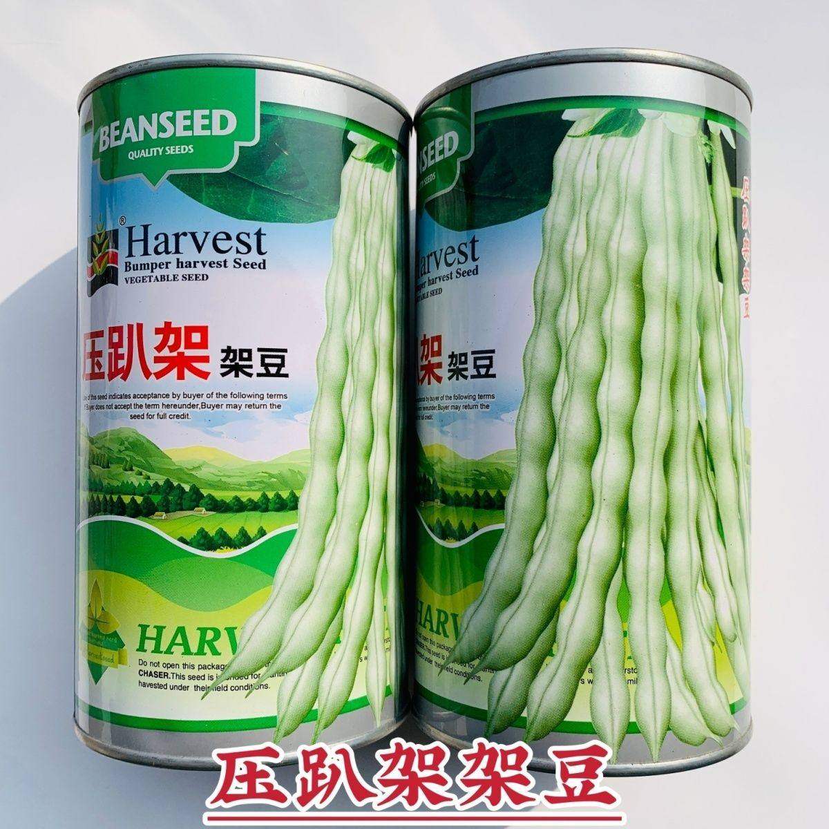 压趴架架豆种子早熟白豆角种子产量高菜豆四季豆种籽蔬菜基地大田,农用物资,蔬菜种子/种苗,淘宝优惠券,粉丝福利购,淘宝优惠卷