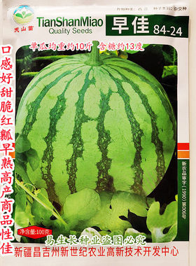 新疆 早佳8424  西瓜种子 口感好甜脆红瓤早熟高产商品性佳 春播