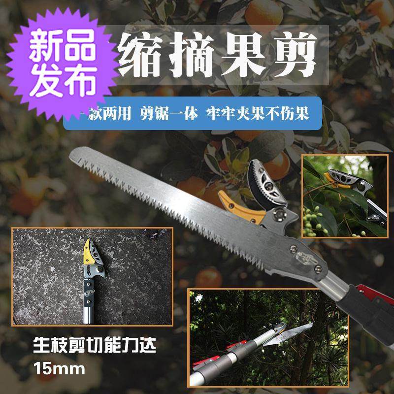 高枝剪修枝剪果树剪刀摘果c剪摘果器高枝锯枇杷剪伸缩树枝摘果神