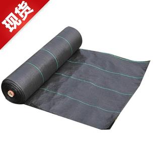 果树防草布除草f布地布地垫草坪草地果园草垫温室黑色园艺农田