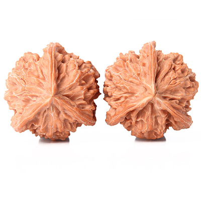 野外生三棱盘山公子官帽文玩手把异形核桃狮子头正奔天然不是拼接