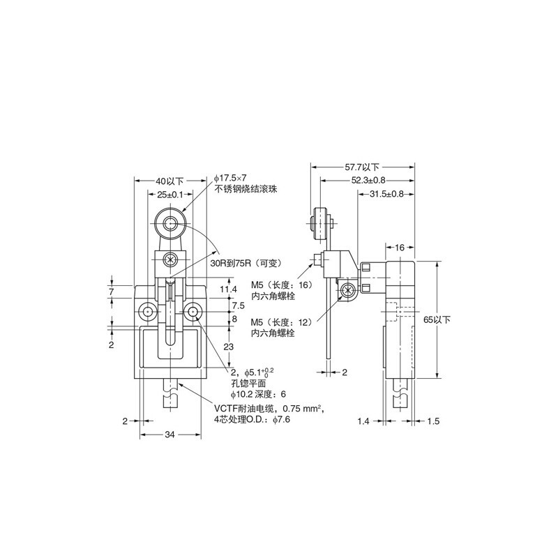 厂家防水微动开关D4C1231触碰行程极限开关TZ31023耐油防尘TZ-310
