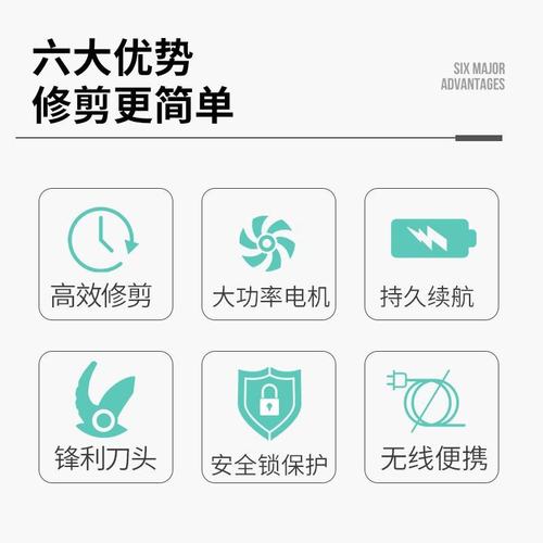 。粗普朗德充电式修枝剪家用电动树枝剪刀枝电园林园艺果树修剪Y