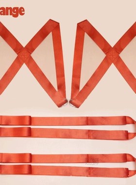 250kg Forearm Furniture Mover Strap Forklift Lifting Straps