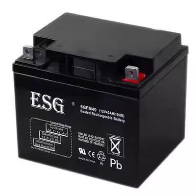 ESG蓄电池6GFM12V24AH40AH50AH65AH100AH120AH/EPS/UPS机房直流屏