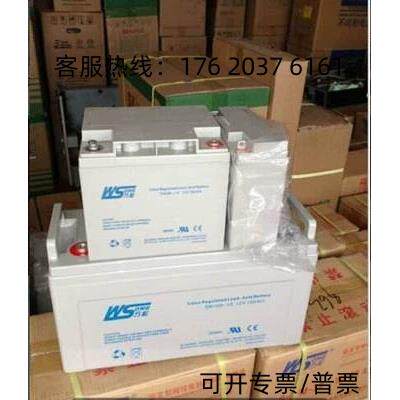 WSONG万松SN24-12直流屏12V24AH监控太阳能UPS/EPS消防主机蓄电池