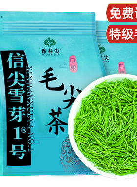 正宗嫩芽1斤2025明前特级信阳手工毛尖新茶叶浓香耐泡绿茶批发价
