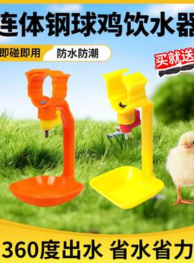 鸡自动饮水器养鸭鹅用