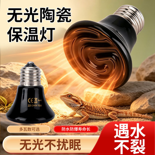 鹦鹉保温灯陶瓷加热灯寄居蟹芦丁鸡乌龟爬宠保温灯无光陶瓷灯