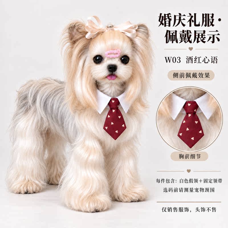 学院风狗狗领结酒红婚礼高级感