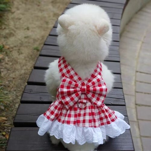 雪纳瑞猫咪新款狗狗衣服比熊博美