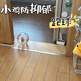 鹦鹉仓鼠防抑郁自嗨解闷玩具跑球运动滚球外带耐咬静音转轮用品