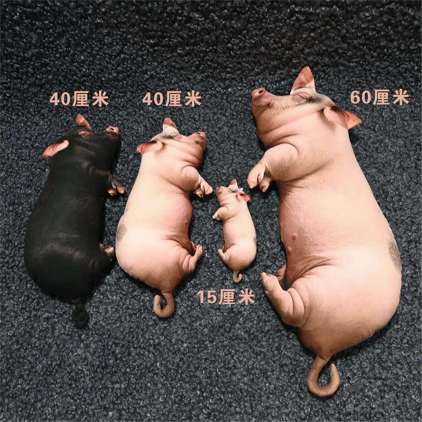 超萌彷真猪猪睡姿抱枕公仔