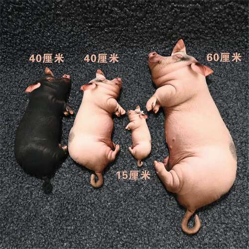 超萌彷真猪猪睡姿抱枕公仔