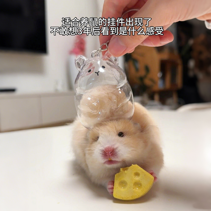 【鼠鼠挂件】仓鼠毛发仓挂件收纳盒钥匙挂手机扣包挂金丝熊纪念品