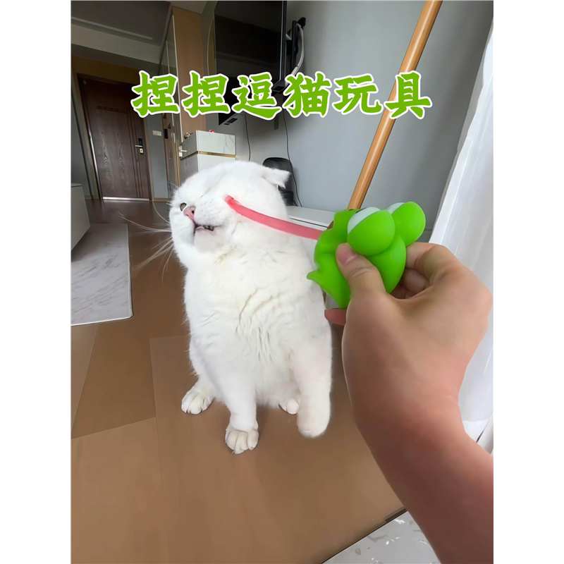 青蛙吐舌恐龙捏捏乐逗猫玩具
