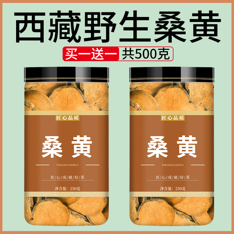 桑黄西藏野生中药材正品特级正宗桑树灵芝茶橘皮桑黄粉桑黄菇泡水