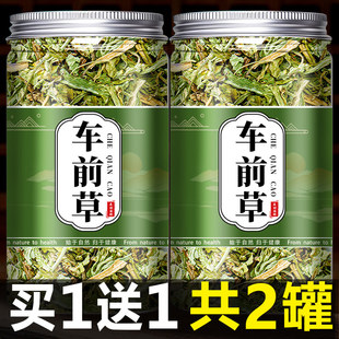 车前草野生中药材正品500g干货官方旗舰店干车前草新鲜袋泡茶泡水