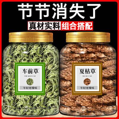 车前草夏枯中药材野生干官