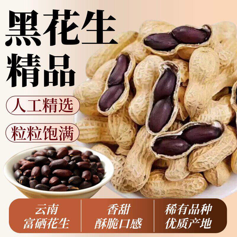 2026黑花生农家自产富硒黑花生带壳生吃甘甜自然晒干滋补杂粮批发