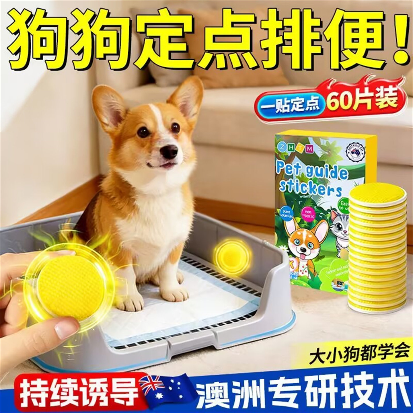 狗狗定点上厕所神器比熊排便诱导